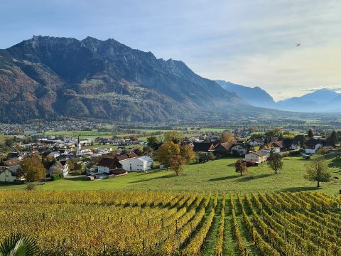 Wein 1.jpg